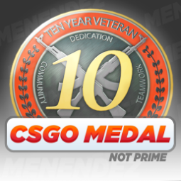 【Steam】 CS2 • 10 YEARS MEDAL 【NOT PRIME】 0